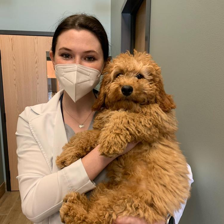 Cherry Ridge Veterinary Clinic Honesdale, PA